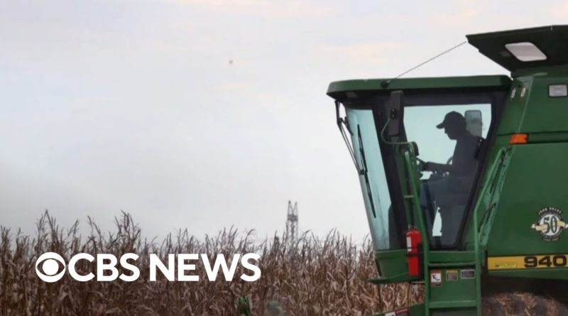 Black farmers still waiting for debt relief from American Rescue Plan