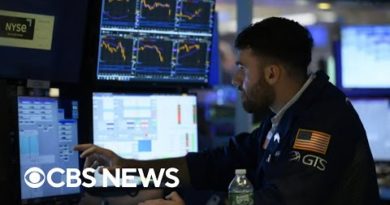 Financial experts warn of a "bear market rally"