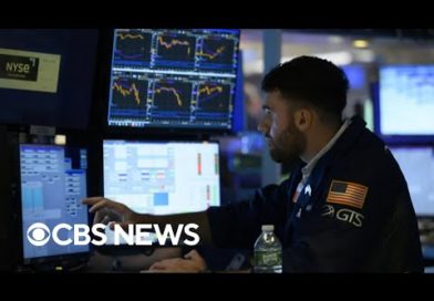 Financial experts warn of a "bear market rally"