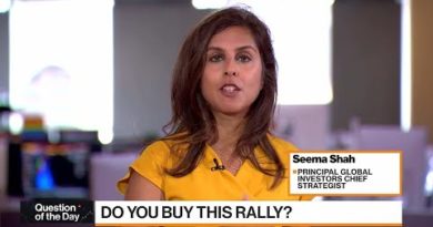 Principal's Shah: Market to Rally Until Powell Speaks